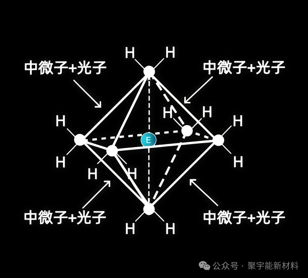 在生命的演化过程中,真的存在生命动力源吗?(图3) 在生命的演化过程中,真的存在生命动力源吗?(图3)