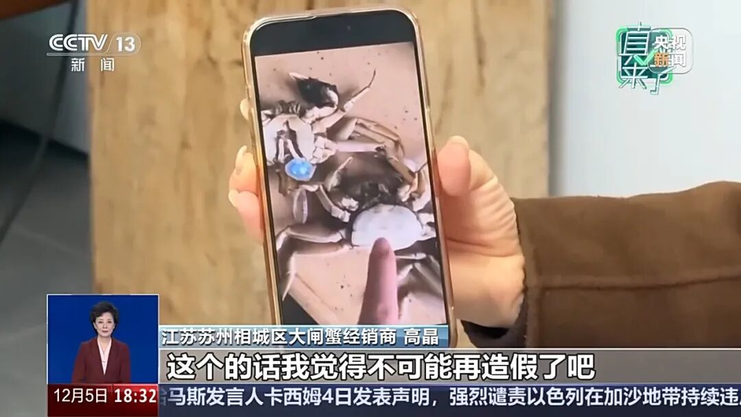 买家AI合成6只“死螃蟹”视频骗商家退款,警方:拘留8天,追缴违法所得195元(图3) 买家AI合成6只“死螃蟹”视频骗商家退款,警方:拘留8天,追缴违法所得195元(图3)
