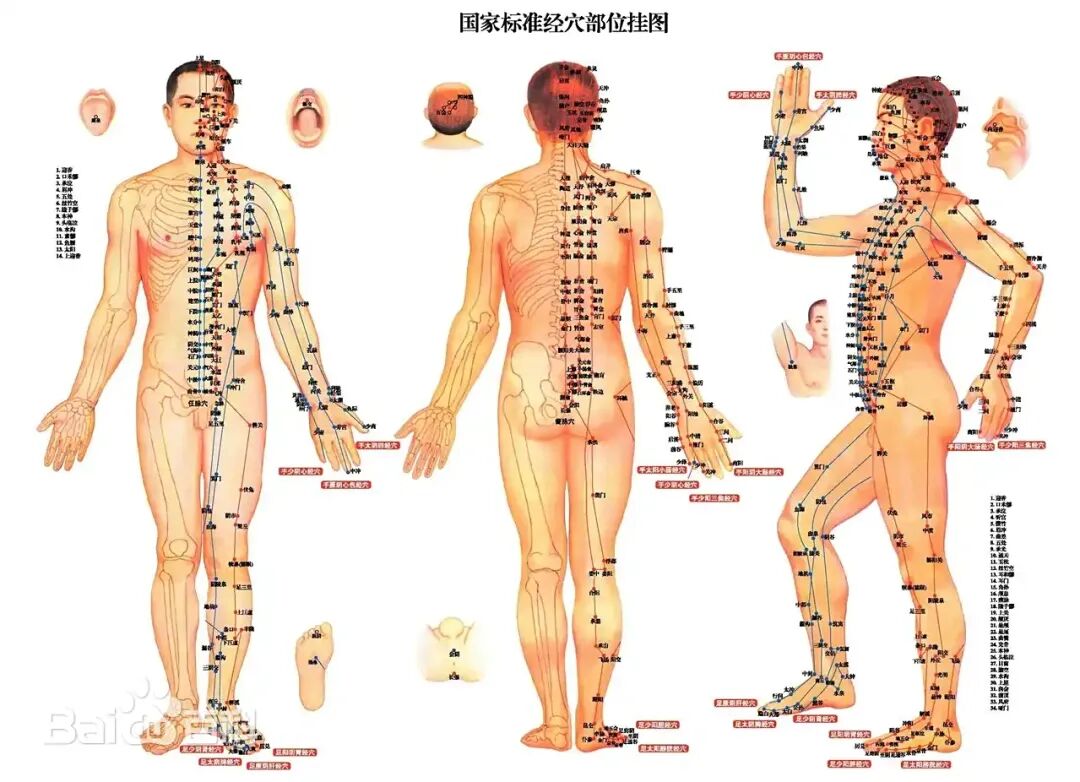 任督脉的穴位数为何不影响三阳三阴和开阖枢顺序?(图1) 任督脉的穴位数为何不影响三阳三阴和开阖枢顺序?(图1)