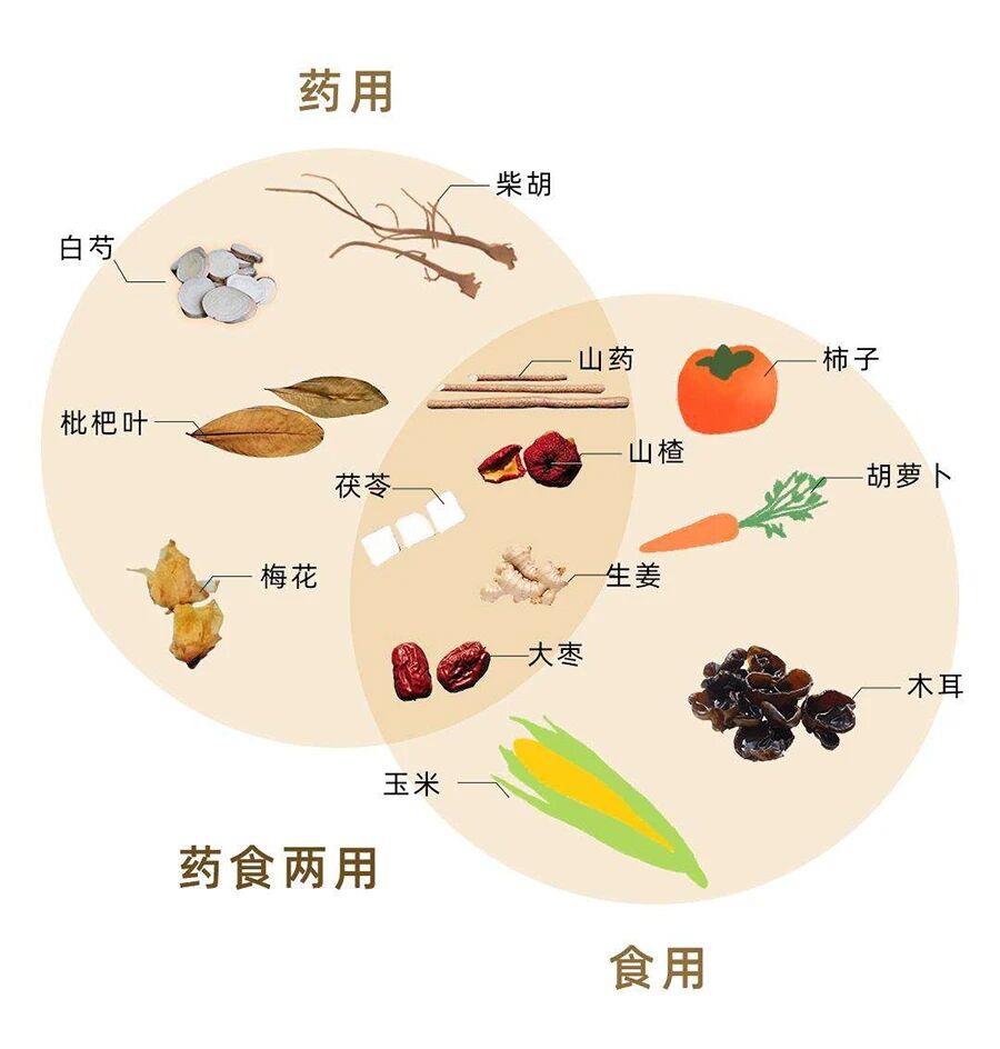 金日光教授:(二十二)如何看待当前的医理和药理?(图4) 3.jpg