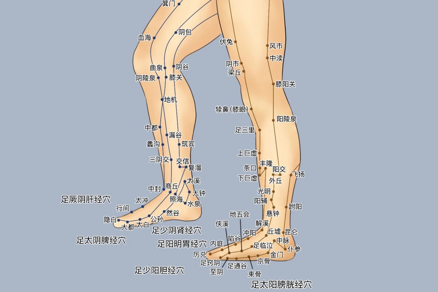 2.jpg