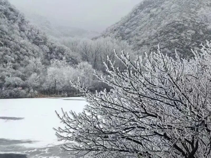 北京今晚到明天还有雪!3月为什么还有鹅毛大雪?专家解读(图1) 北京今晚到明天还有雪!3月为什么还有鹅毛大雪?专家解读(图1)