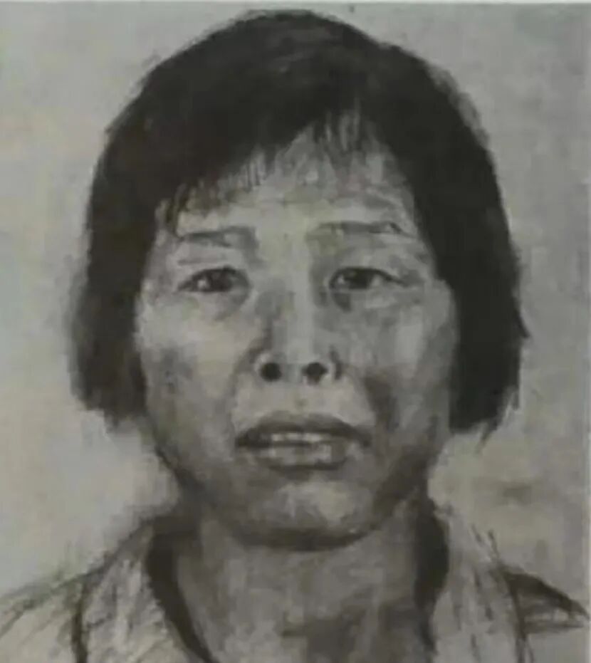 人贩子“梅姨”落网!(图1) 人贩子“梅姨”落网!(图1)