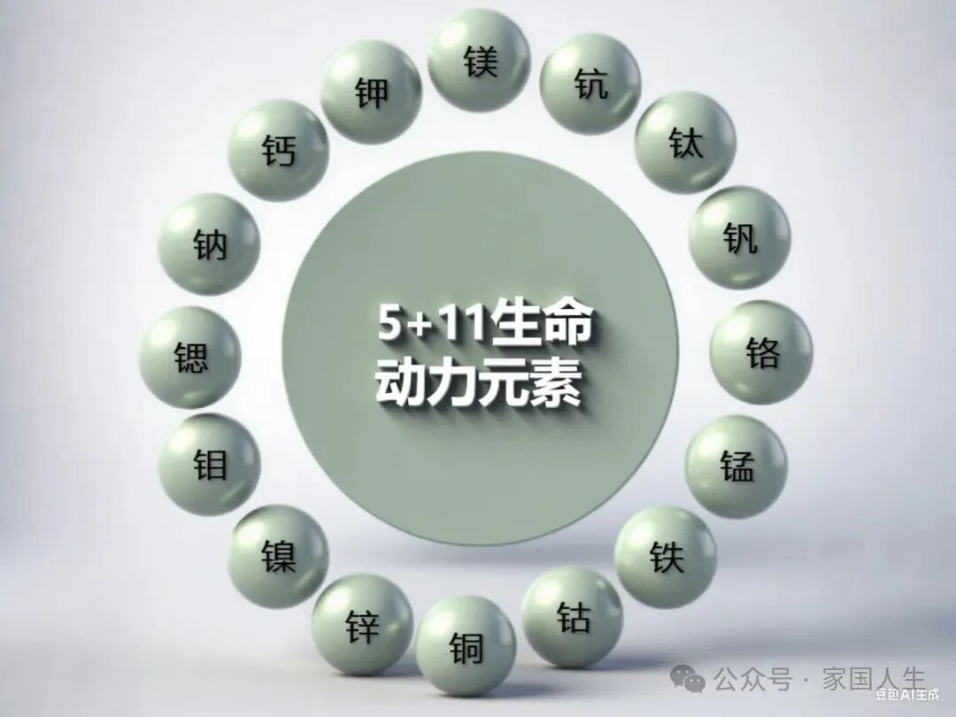 哈佛医学院研究公布的人类“长寿密码”是在步中国科学家金日光教授的后尘(图6) 哈佛医学院研究公布的人类“长寿密码”是在步中国科学家金日光教授的后尘(图6)