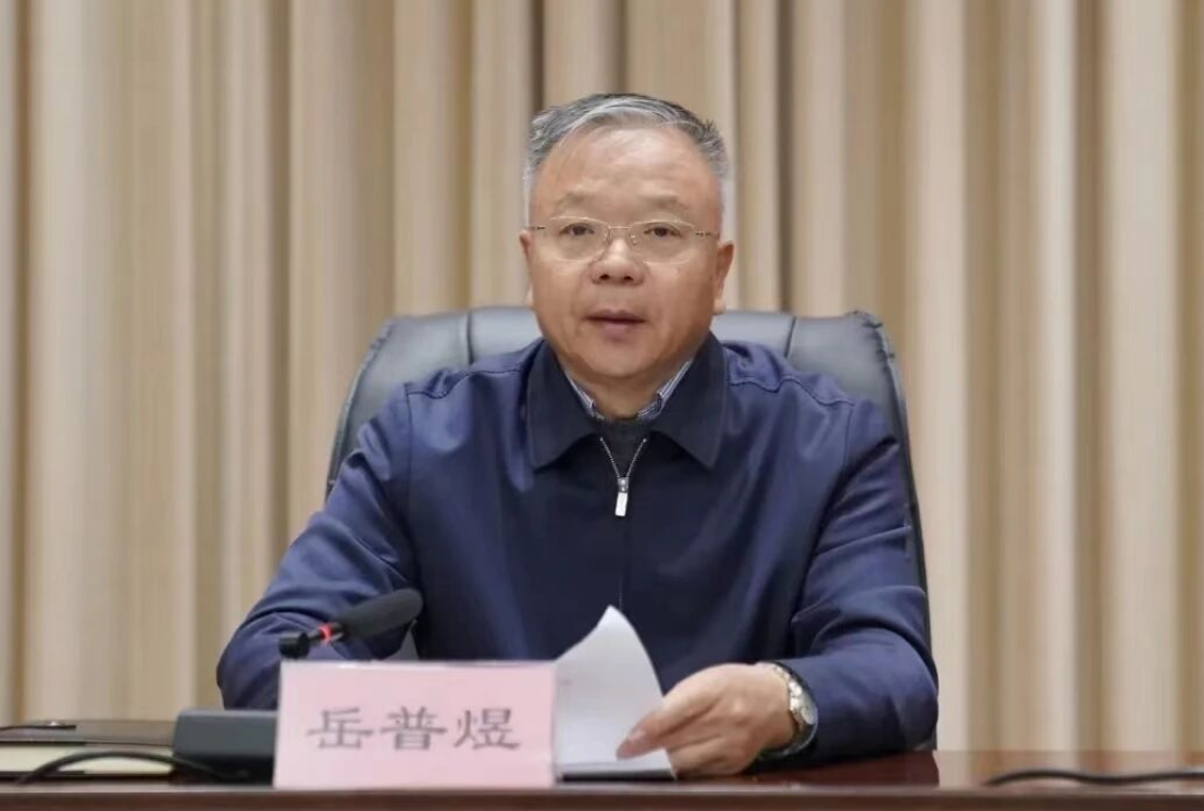 打虎!岳普煜被查(图1) 1.png