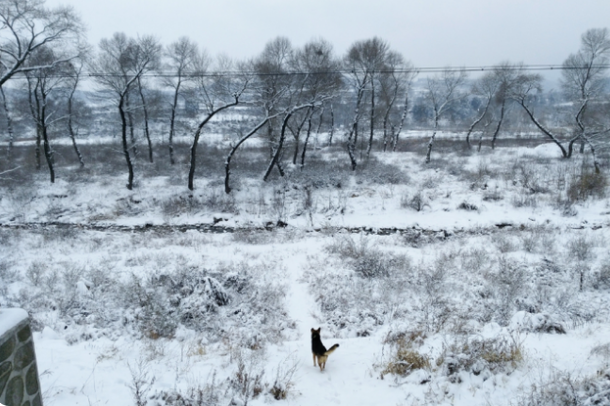 《沁园春·雪》被臧克家改了哪个字,诗意大为提升,毛主席很满意(图6) 26.png