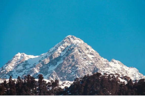 “放你娘的狗屁!”(图1) 72.png