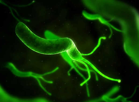 感染至少7亿中国人!这种病菌被列为“明确致癌物”,怎么根治?(图2) 39.png