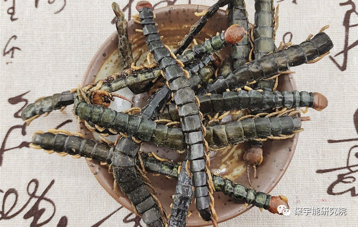 金日光教授:【《黄帝内经》漫谈•之六十三】为什么脑梗偏瘫如此猖獗?有什么好药?(图6) 7.png