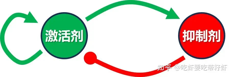 人为什么会有指纹?(图1) 2.jpg