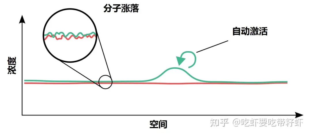 人为什么会有指纹?(图2) 3.jpg