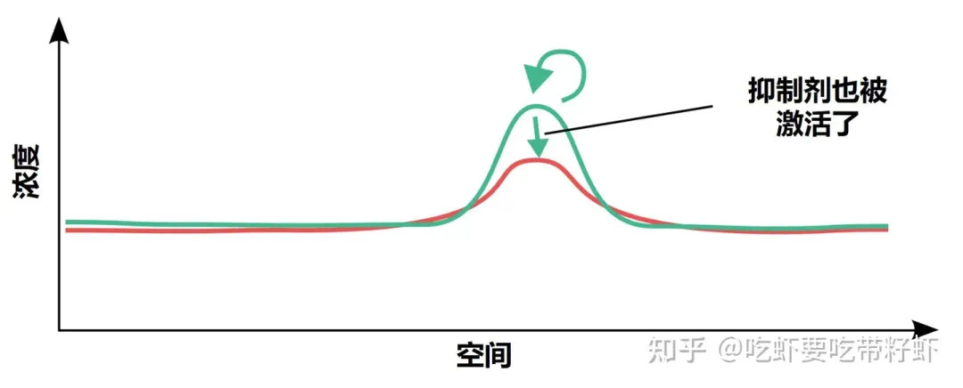 人为什么会有指纹?(图3) 4.jpg