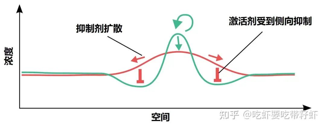 人为什么会有指纹?(图4) 5.jpg