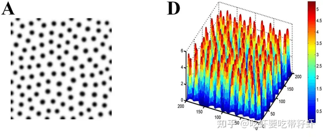 人为什么会有指纹?(图7) 7.jpg