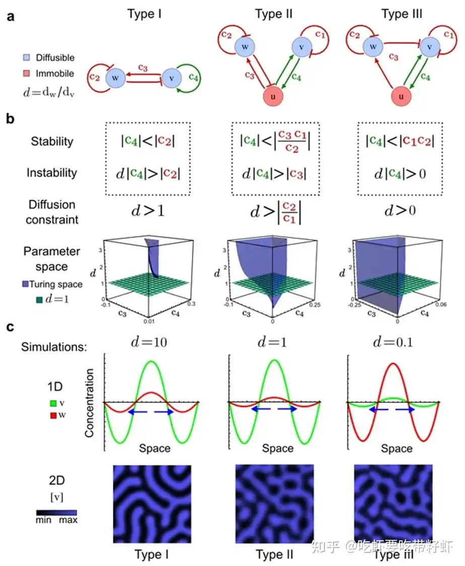 人为什么会有指纹?(图8) 8.jpg