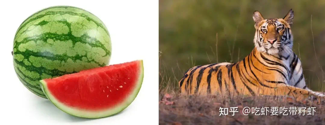 人为什么会有指纹?(图11) 11.jpg